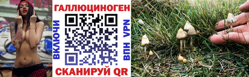 Галлюциногенные грибы GOLDEN TEACHER Купить Алексеевка